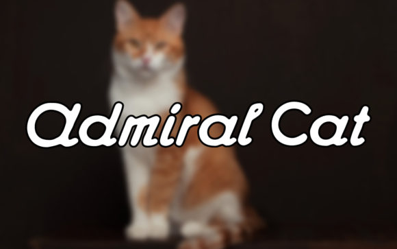 Admiral Cat Font for Creative Design