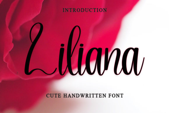 Liliana Font: A Contemporary Script for Digital Branding