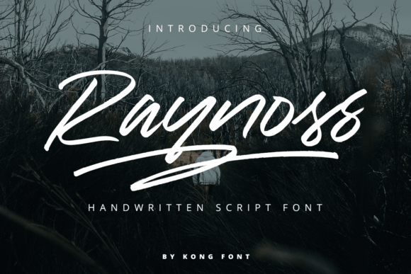 Raynoss Font for Creative Makers