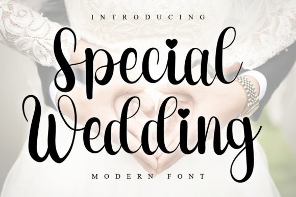 Special Wedding Font for Modern Web Design Projects